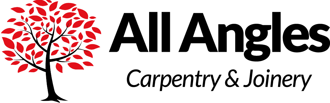 all angles logo ls 01