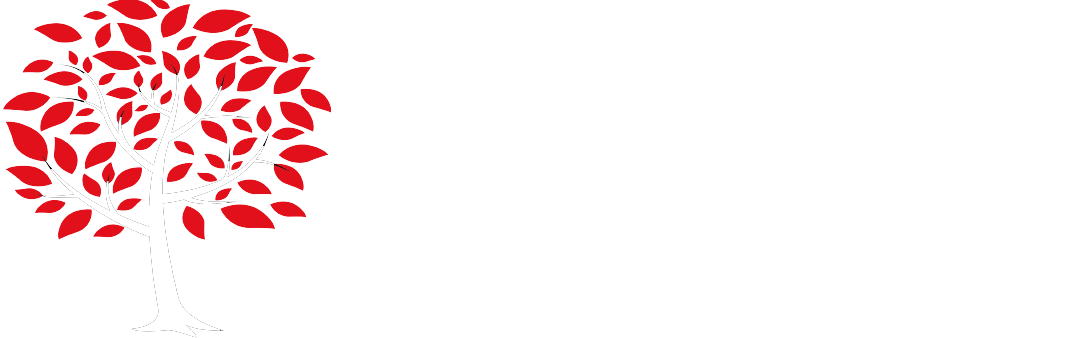 all angles logo ls 01w